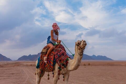 Auf einem Kamel westlich von Luxor reiten