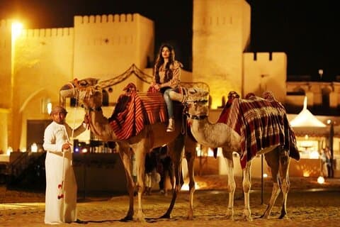 Royal Desert Fortress Safari Experience with Dinner