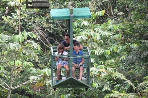 Teleférico y santuario de perezosos en la selva tropical