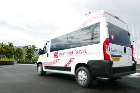 Private Transfer: Hotel or Cruise Port to Tahiti Airport