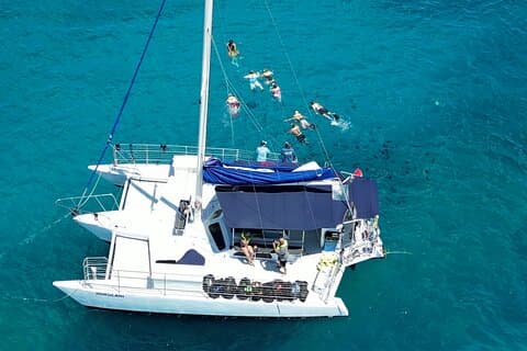 Meilleur Waikiki Snorkel Tour : Garanti Tortues à Turtle Canyon