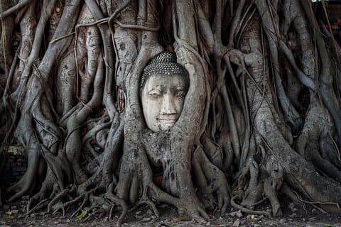 Ayutthaya Famous Temples Tour plus Floating Market and ATV Ride