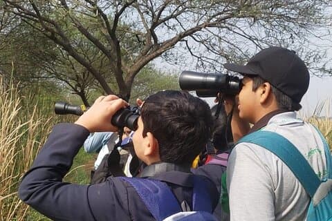 Bird Watching at Nandur Madhyameshwar Wildlife Sanctuary Nashik