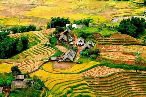 From Sapa: 1 Day Trekking to Terrace field and local Village