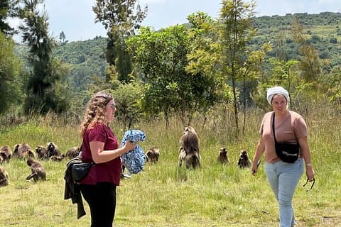 1-Day Tour Old Bridge, Monastery,WaterFalls Wildlife,Birds,