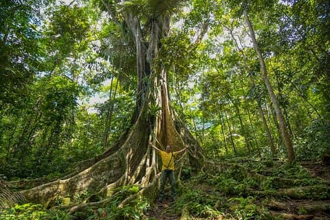 Pacaya Samiria jungle lodge - 3 dage