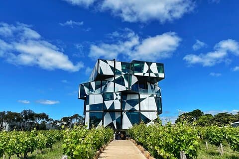Wine Tasting in McLaren Vale