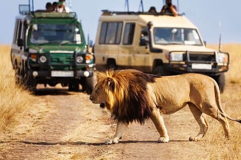 4 días Impresionante safari de lujo Tarangire Serengeti y Ngorongoro