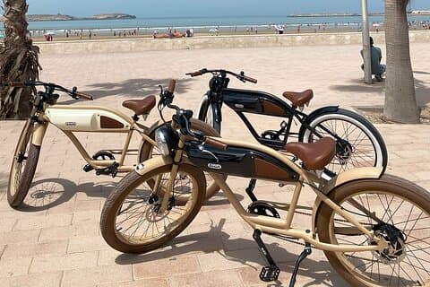 Vintage electric bike rental