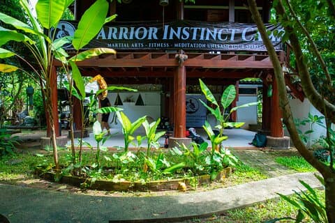 Arts Martiaux Jungle Experience - Libérez votre esprit