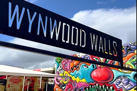 Explora la vibrante escena artística del tour privado Wynwood Art
