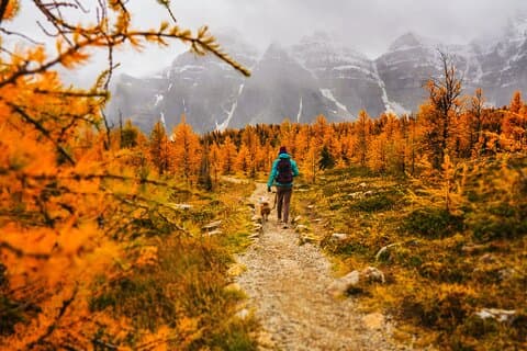 Moraine Lake: Larch Valley Hike, Afrejse fra Banff