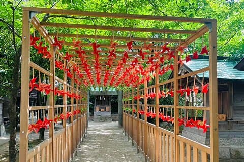 Half Day Customized Japanese Culture Experience Tour in Fukuoka