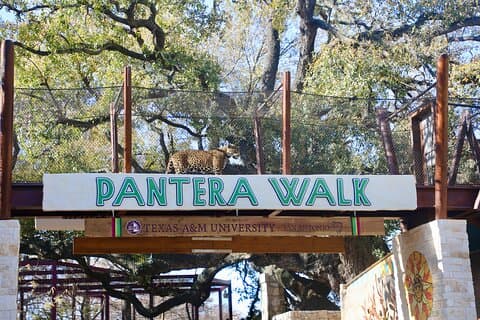 San Antonio Zoo General Admission Ticket