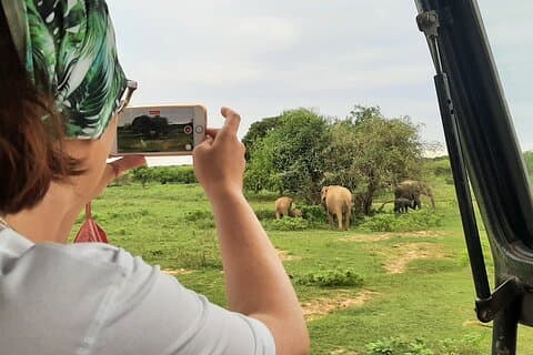 Yala privat guidet safari av Udara