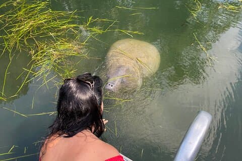 Crystal River: Small Group Boat Tour