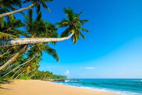 Tour Privado En La Isla De Santo Tomé
