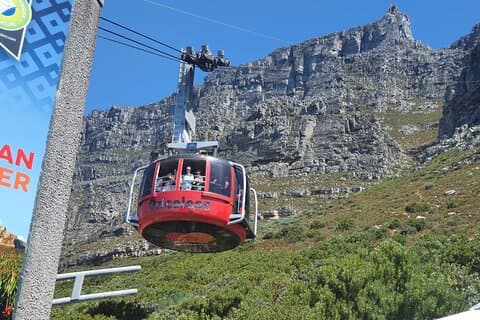 Visite privée : Table Mountain Boulder's Beach Penguin Cape Point