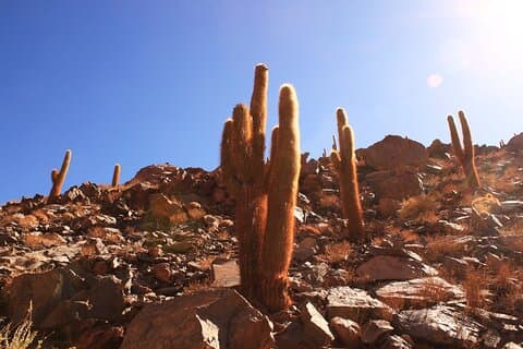 Skjult vandfaldsvandring i San Pedro de Atacama