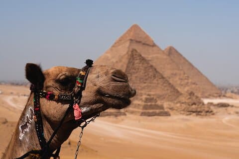 Piramides en Egyptisch museum - Caïro-tour