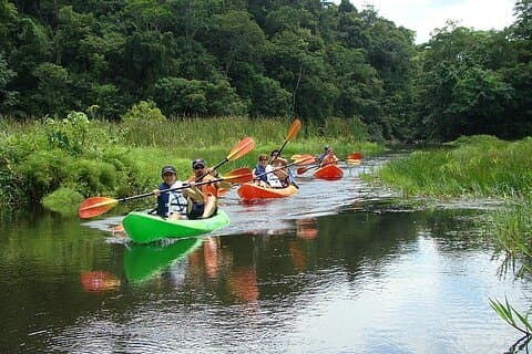 Tour Privado en Kayak de Medio Día en el Lago Gatún