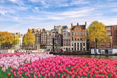 Ganztägige private Landtour in Amsterdam vom Amsterdamer Hafen