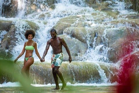 Bob Marley Culture and Dunn's River Falls Experience Montego Bay