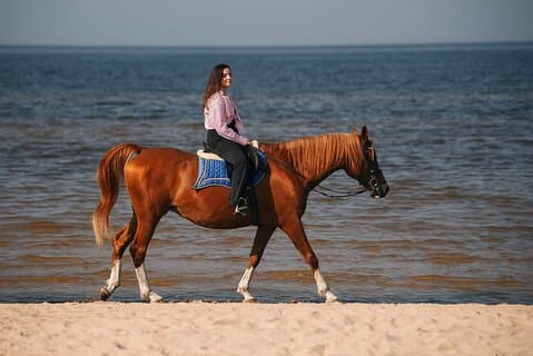 Privat ridning på stranden i Riga