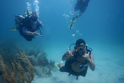 Scuba Dive and Snorkel Private Charter i Puerto Rico