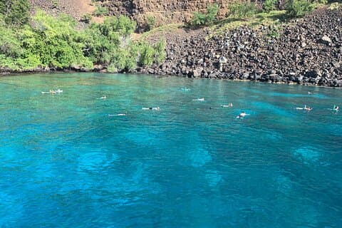 Captain Cook Reef Schnorcheln in der Kealakekua Bay