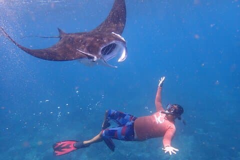 Desde Bali: snorkel con mantarrayas en Nusa Lembongan y Penida