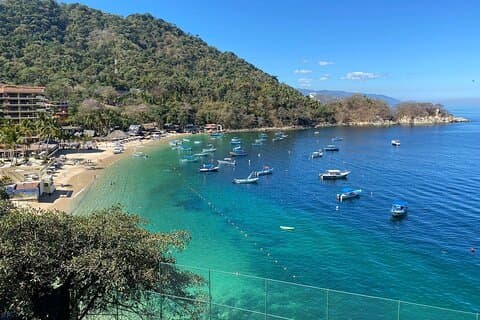 Privérondleiding door Puerto Vallarta en het subtropische bos
