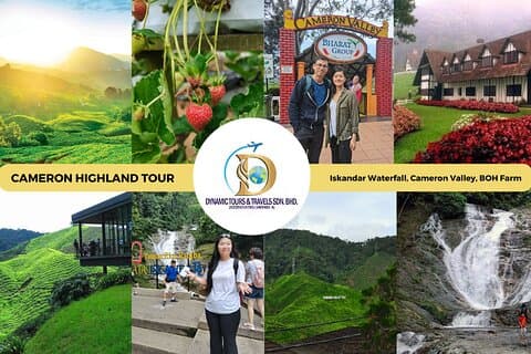 Privat heldags Cameron Highlands naturtur fra Kuala Lumpur
