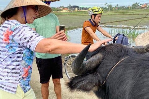 Découvrez Buffalo Ride et Farmer à Hoi An