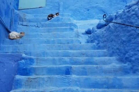 From Fez Day Trip to Chefchaouen