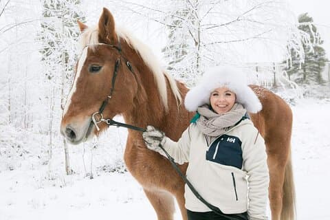 Tur till Aurora Horses Farm med charmiga finnhästar