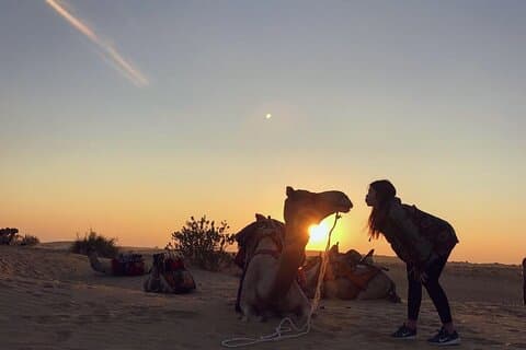 Excursion de Jaislamer avec chameau au coucher du soleil et safari dans le désert