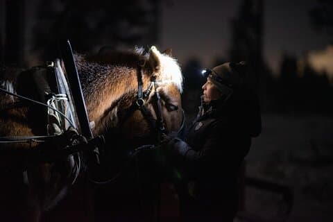 Traditionell slädetur med finsk häst vid SCV (3 km)