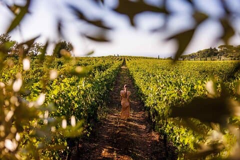Degustazione di vini a Frascati da Roma