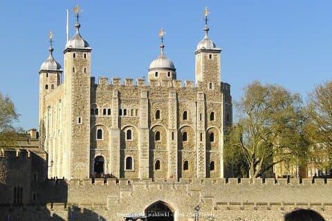 ロンドン塔とウェストミンスター中心部：プライベート半日ツアー