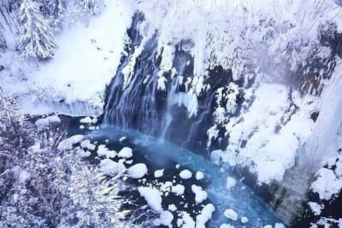 Hokkaido-Tagestour ab Sapporo: Asahiyama Zoo, Blue Pond Japan