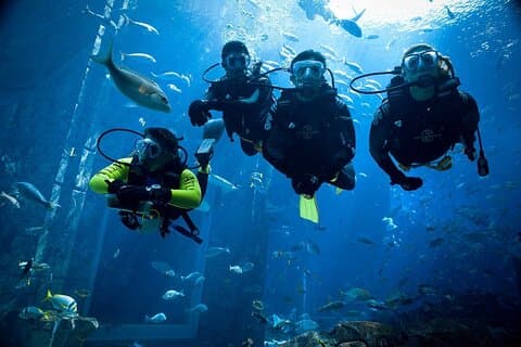 2 plongées, un bateau confortable pour les plongeurs certifiés à Hurghada