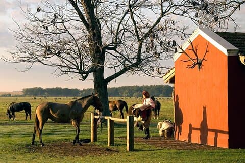 100% Gaucho Experience in a Traditional Estancia