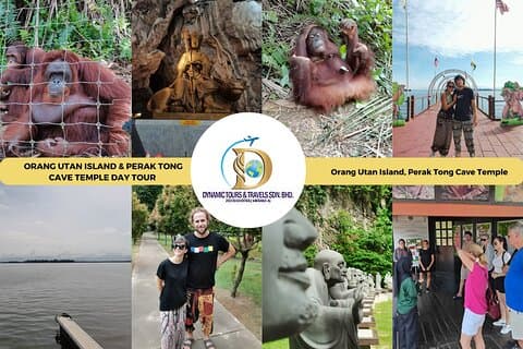 Orangutangön och Perak Tong Cave Temple Tour från Kuala Lumpur