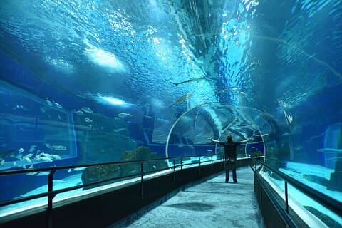 Entradas Solo Entradas AquaRio Río de Janeiro