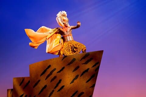 Le Roi Lion sur Broadway Billet
