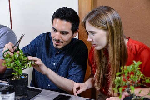 3Days-Experiencia de té Bonsai y Sencha: pasatiempo de los literatos