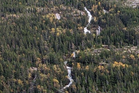 Skagway City and Summit Tour