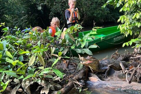 Excursion en canoë en petit groupe dans le parc national de Tortuguero