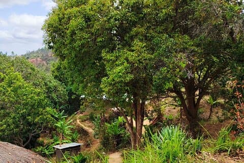 14 giorni per sperimentare la vita autentica del villaggio a Taita Hills